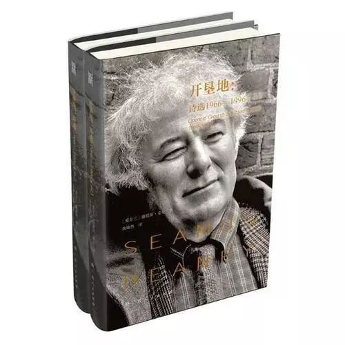 蒋方舟最近照片,蒋方舟现况