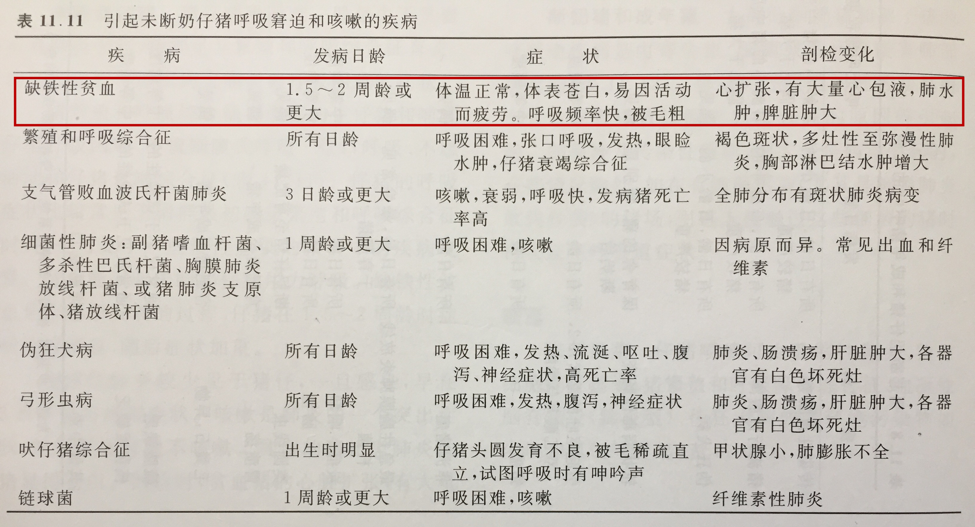 补铁引起的过敏怎么处理,小猪出生补铁的是什么药