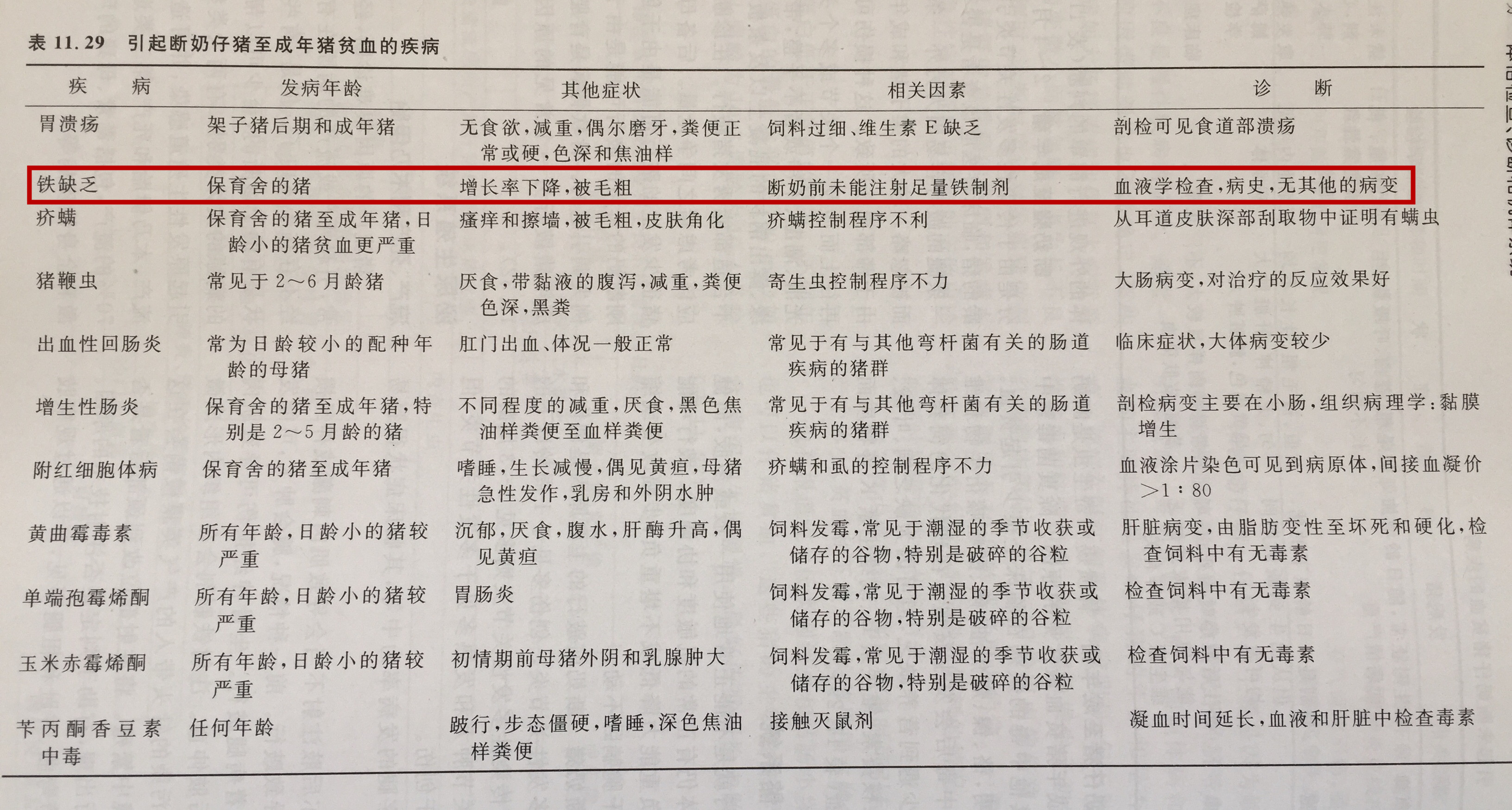 补铁引起的过敏怎么处理,小猪出生补铁的是什么药