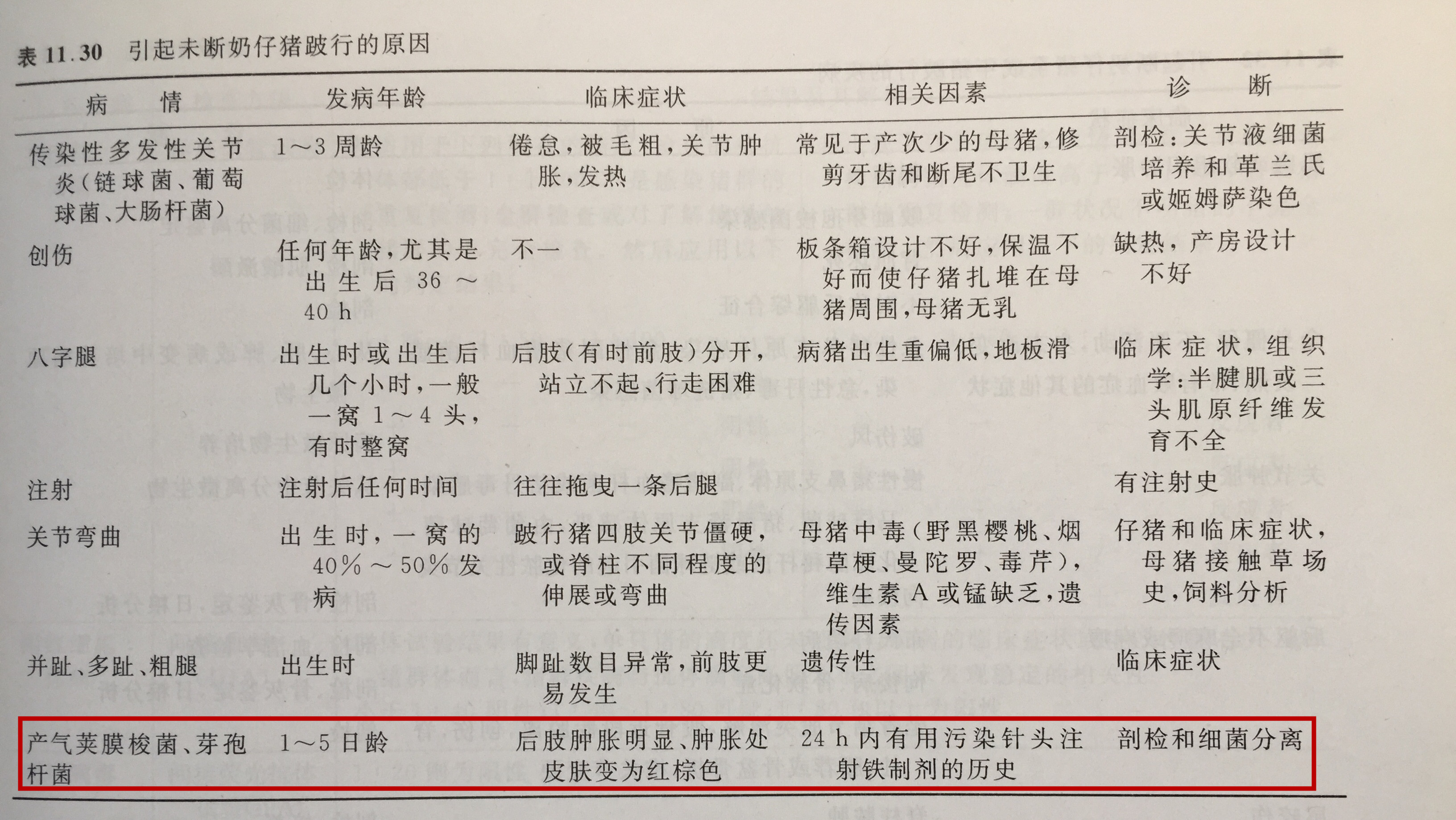 补铁引起的过敏怎么处理,小猪出生补铁的是什么药