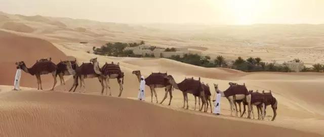 「阿布扎比」与世隔绝，充满神秘色彩の沙漠皇宫酒店