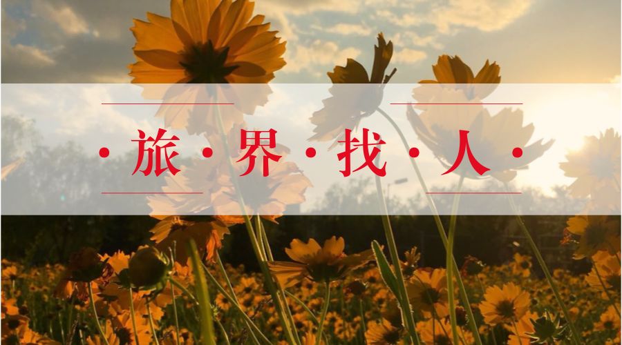 航司取消值机,航司提前停止值机