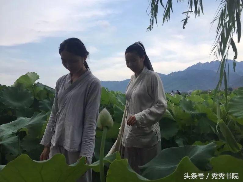 茶道养生课黄帝内经,黄帝内经茶道养生