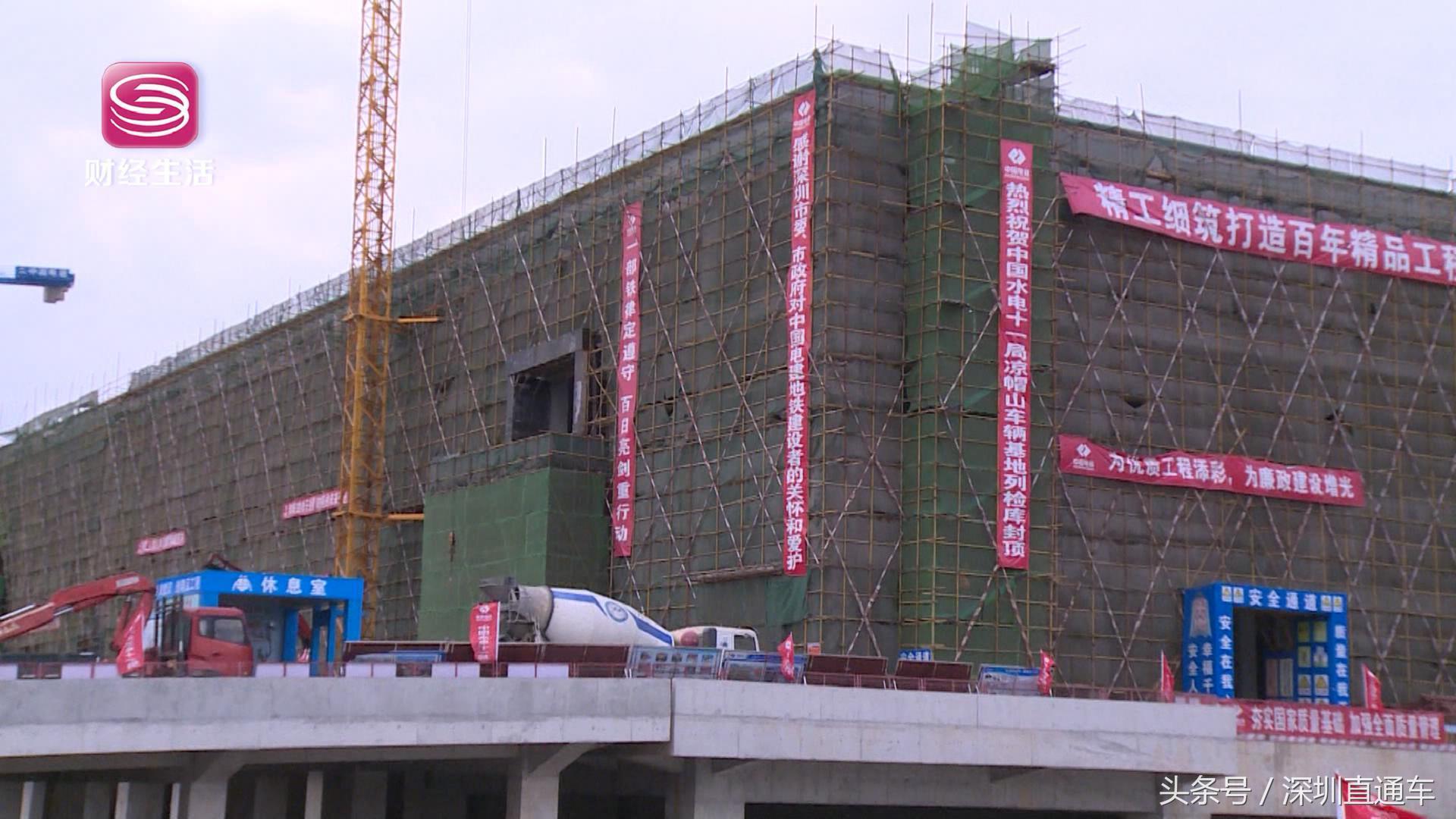 深圳卫视直通车报道,深圳电视台港澳直通车