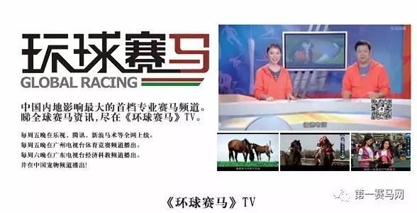 香港冠军种马子嗣!14匹优秀纯血马将现身周五晚香港国际马匹拍卖会