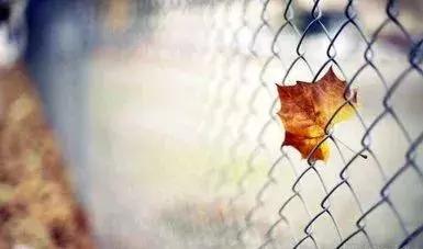 只争朝夕不负韶华青年节快乐,五四青年节只争朝夕不负韶华