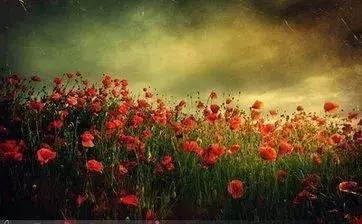 只争朝夕不负韶华青年节快乐,五四青年节只争朝夕不负韶华