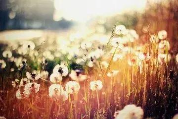 只争朝夕不负韶华青年节快乐,五四青年节只争朝夕不负韶华