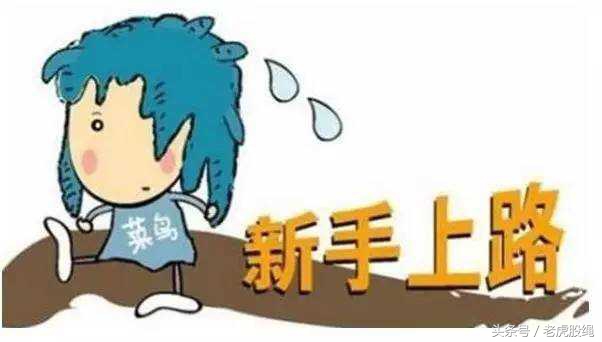 炒股新手入门教程,新手开户炒股流程