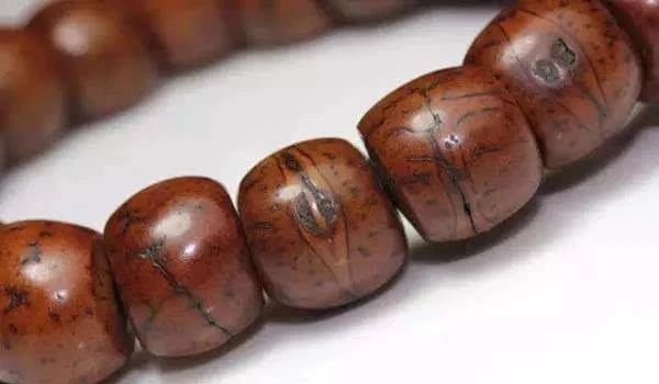 什么是凤眼菩提短桩,什么是凤眼菩提漏眼