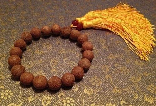 什么是凤眼菩提短桩,什么是凤眼菩提漏眼