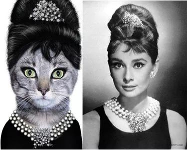 猫艺术名画,优雅的猫名画