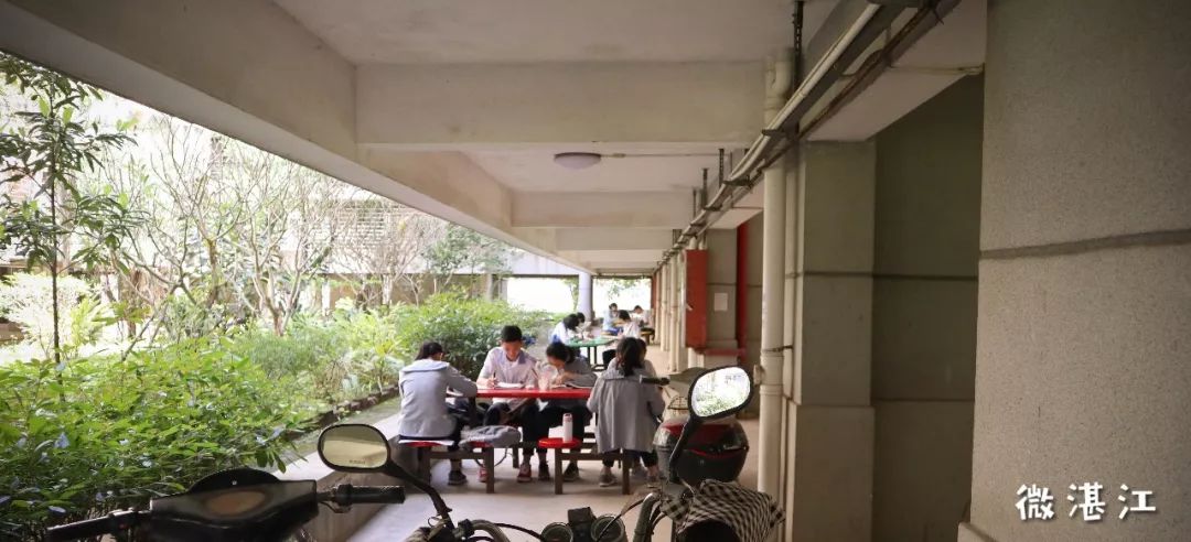 湛江二中旧校区,湛江二中在哪啊