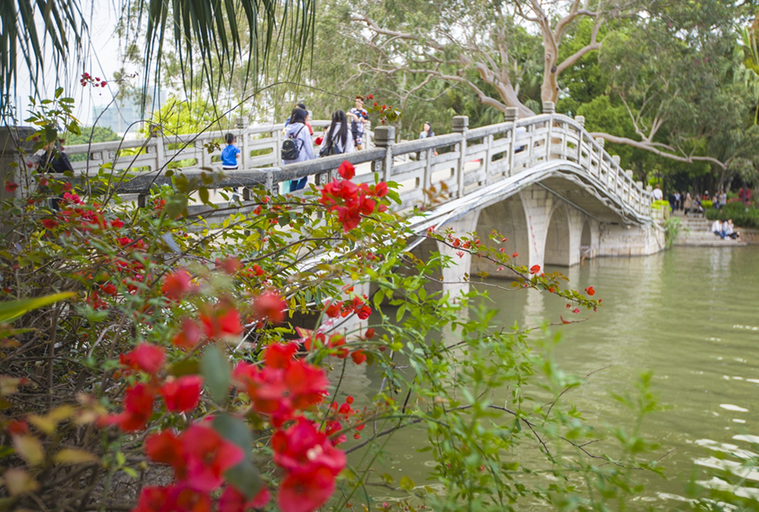 上帝之眼看安徽,上帝之眼看世界