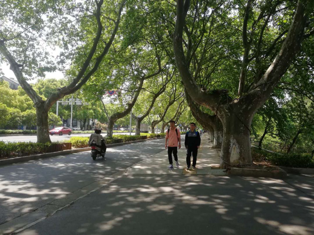 镇江最近房价下跌新闻,镇江房价暴跌了吗