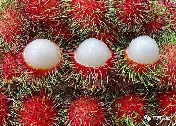 椰色果、红毛丹、牛奶国，到越南旅游必吃的水果有木有！