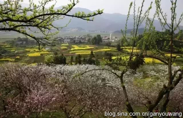 白云峰是做什么的,白云峰干嘛的