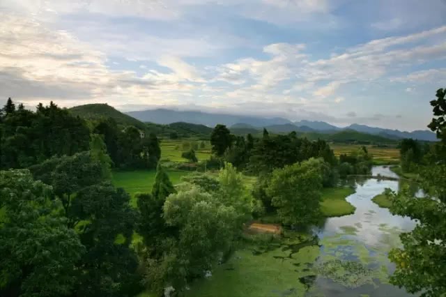 白云峰是做什么的,白云峰干嘛的