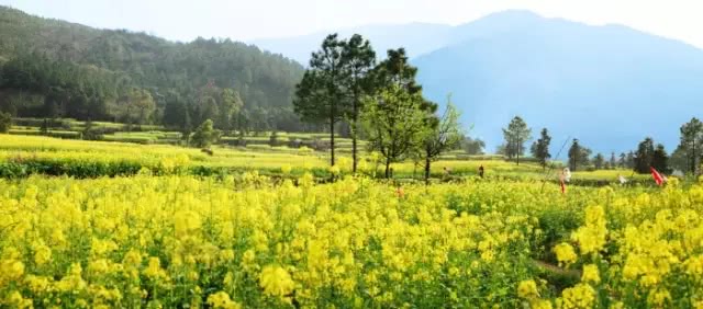 白云峰是做什么的,白云峰干嘛的