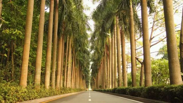 华侨城中学在哪里,华侨城中学口碑怎么样