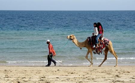 厦门环岛路游玩要带多少钱 (厦门环岛路游玩攻略大全)