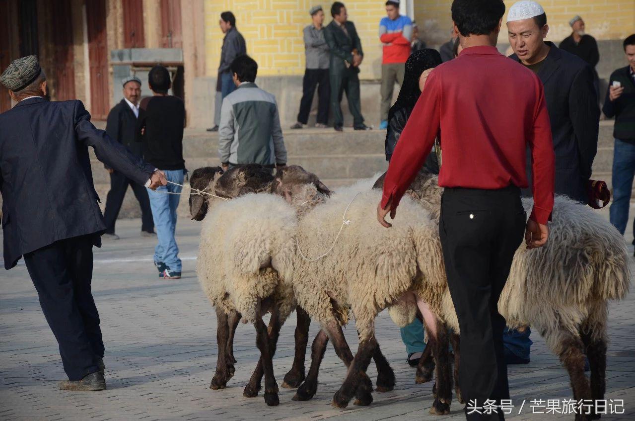 南疆旅游攻略自由行路线推荐,南疆自由行旅游全攻略
