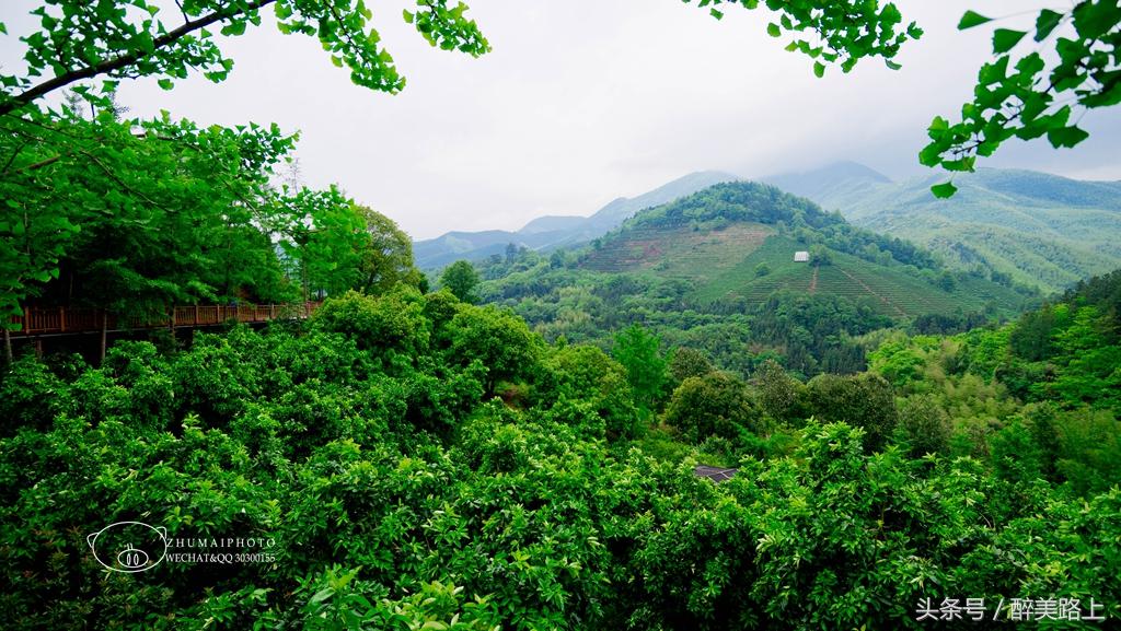 江西三清山风景区一日游攻略,江西圭峰山风景区攻略