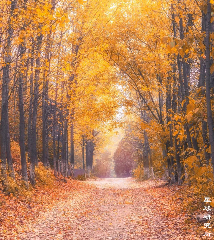 什么是西安？这是我见过最好的答案！