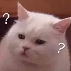 这些时尚单品的美感我实在get不到，九块九包邮我都不要！