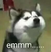 这些时尚单品的美感我实在get不到，九块九包邮我都不要！