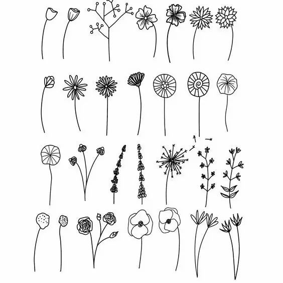 有了画画模板该怎么画,新手比较适合的画画教程