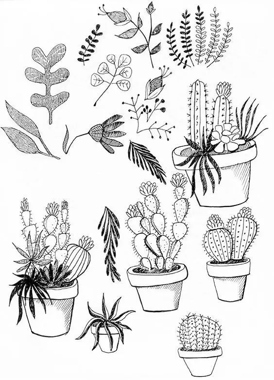 有了画画模板该怎么画,新手比较适合的画画教程