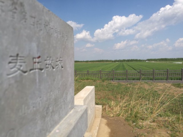 阿庆哥说济南趵突泉,阿庆讲济南