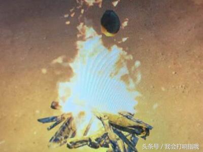 周公解梦大全梦见喜事,周公解梦里面梦见什么是有好消息