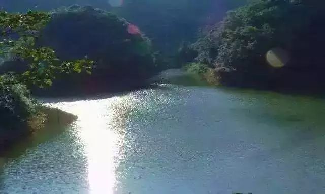 这趟高铁列车上的美食全国独有,渝贵高铁沿途风景