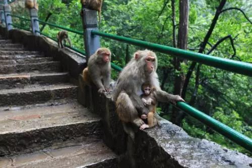这趟高铁列车上的美食全国独有,渝贵高铁沿途风景