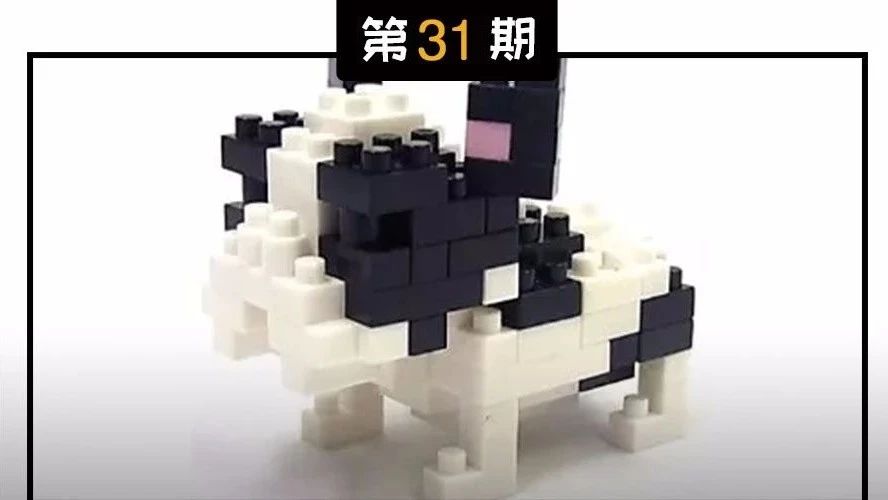 吃好狗粮还需要其他营养么,狗狗吃什么钙片能补钙效果好