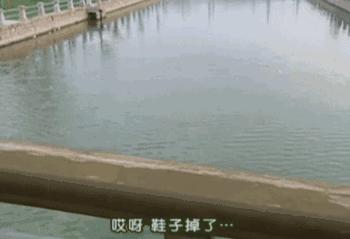 情深深雨蒙蒙36集依萍小的时候,原来的情深深雨蒙蒙