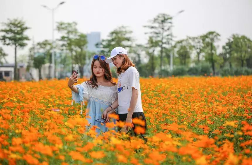 紫色薰衣草海+五彩摩天轮！南海这里充满异国风情如电影般唯美！