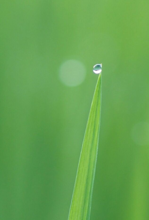 巴厘岛秘密花园,巴厘岛秘密花园别墅