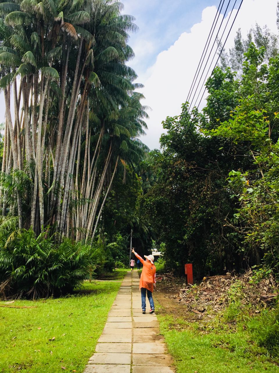 记录马来西亚原始森林,马来西亚古晋的最后一天