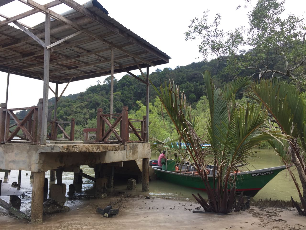 记录马来西亚原始森林,马来西亚古晋的最后一天