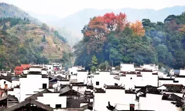 村庄的美,村庄的别致风情