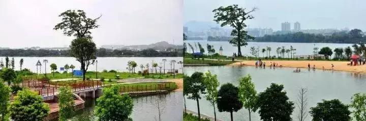 广州人少景美的古村落,广州好玩适合拍照的网红景点