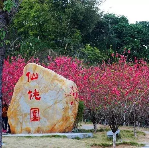 广州人少景美的古村落,广州好玩适合拍照的网红景点