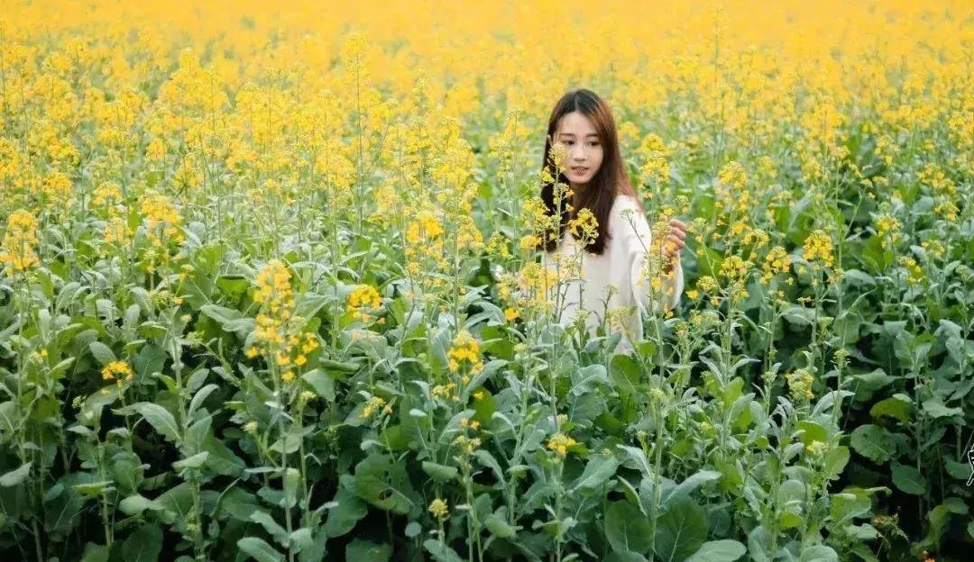 广州人少景美的古村落,广州好玩适合拍照的网红景点