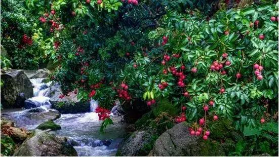 广州人少景美的古村落,广州好玩适合拍照的网红景点