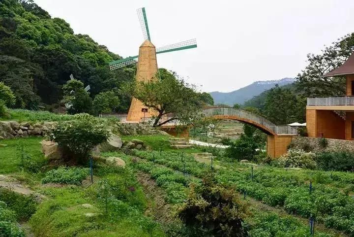 广州人少景美的古村落,广州好玩适合拍照的网红景点