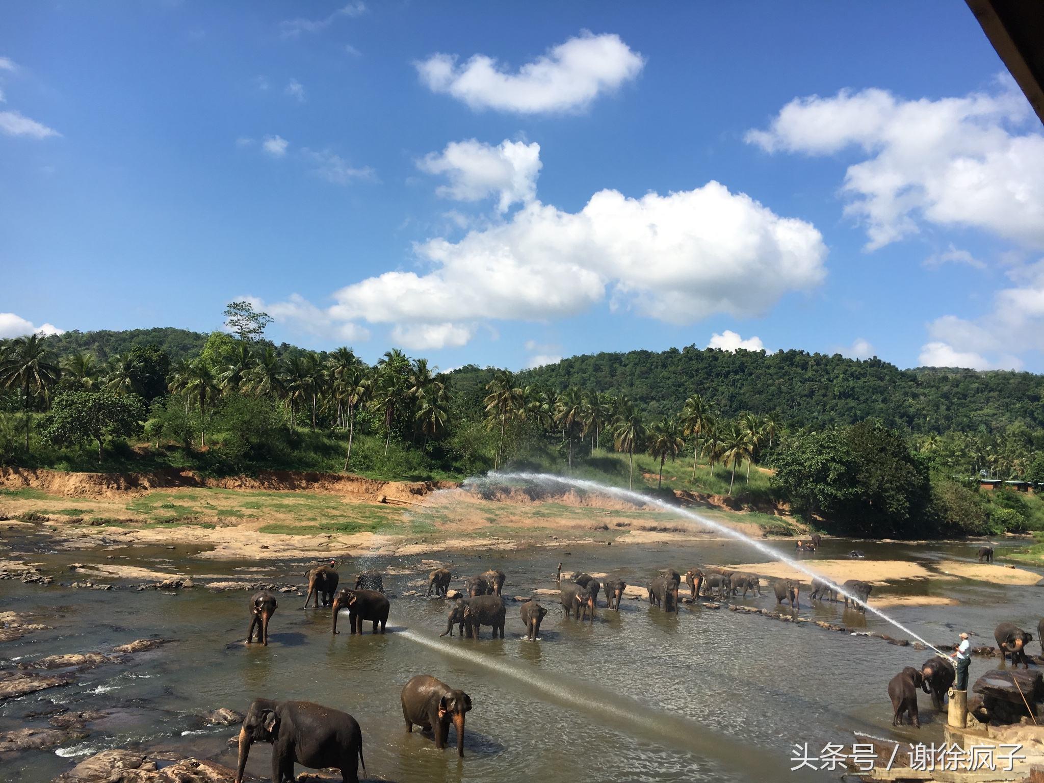 斯里兰卡10元可以兑多少人民币,斯里兰卡100块钱相当于多少人民币