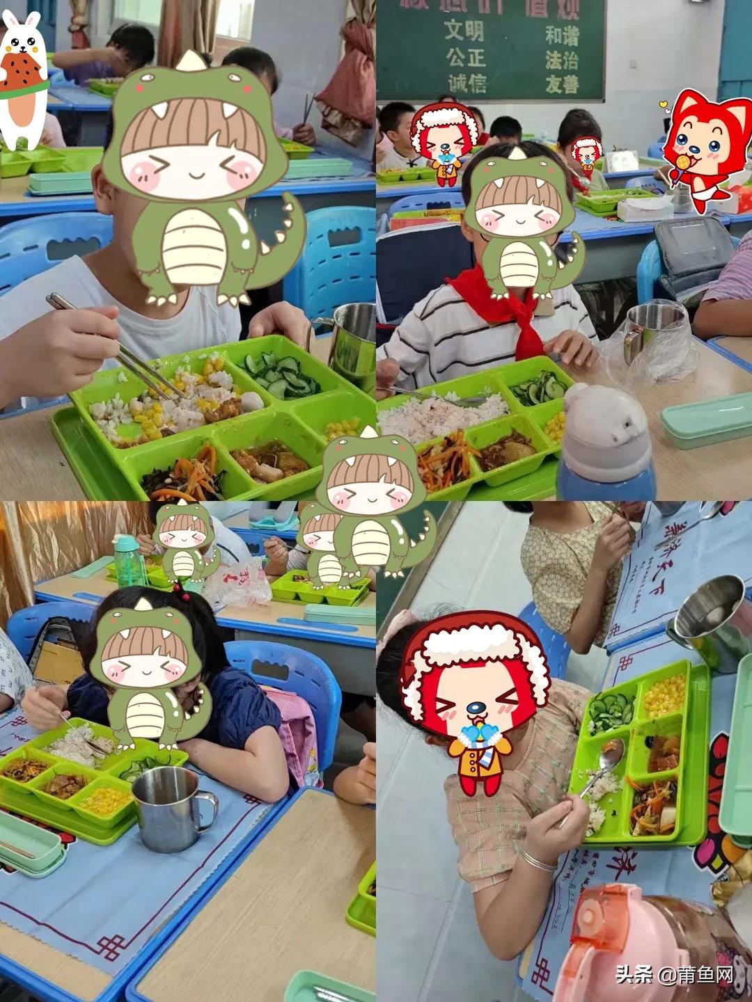 双减政策下丰富的课后生活,双减政策下学校课后服务实施方案